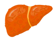 Metabolic dysfunction–Associated Steatohepatitis (MASH)