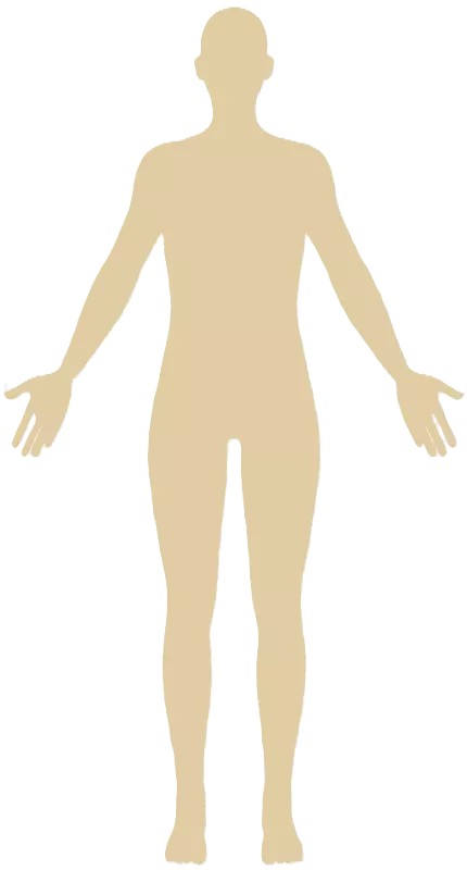 Human Body Diagram